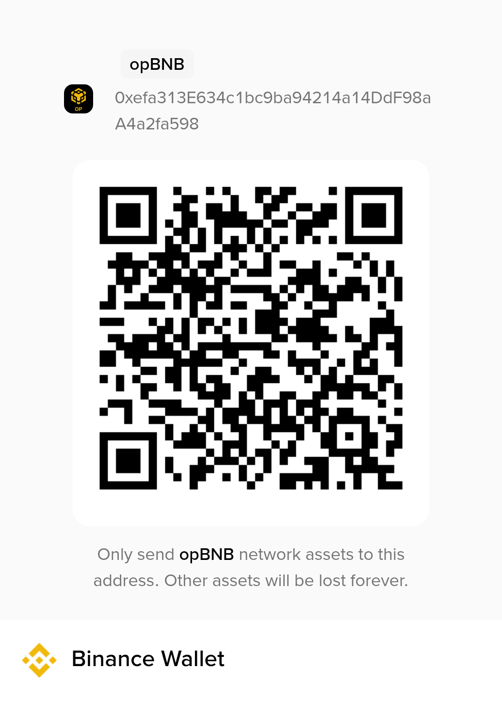 BNB (BNB SMART CHAIN NETWORK) adresi
